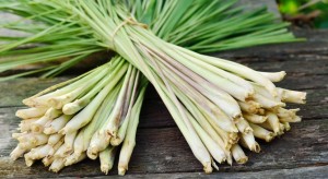 Les clous de girofle, pour apaiser les douleurs des muscles et des articulations 