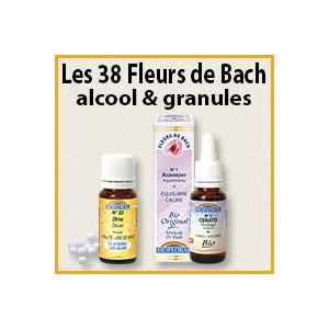 Les fleurs du Dr Bach